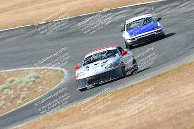 media/May-06-2023-Lucky Dog Racing (Sat) [[8f2256f436]]/Turn 2 10a/